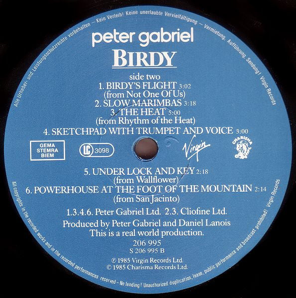 Peter Gabriel : Birdy · Music From The Film (LP,Album)