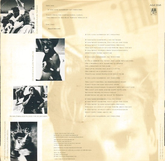 Sting : If You Love Somebody Set Them Free (7",45 RPM,Single)
