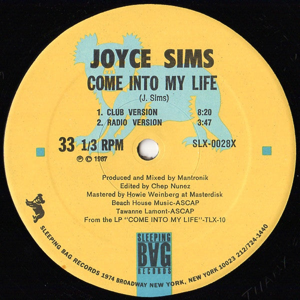Joyce Sims : Come Into My Life (12",33 ⅓ RPM,Maxi-Single)
