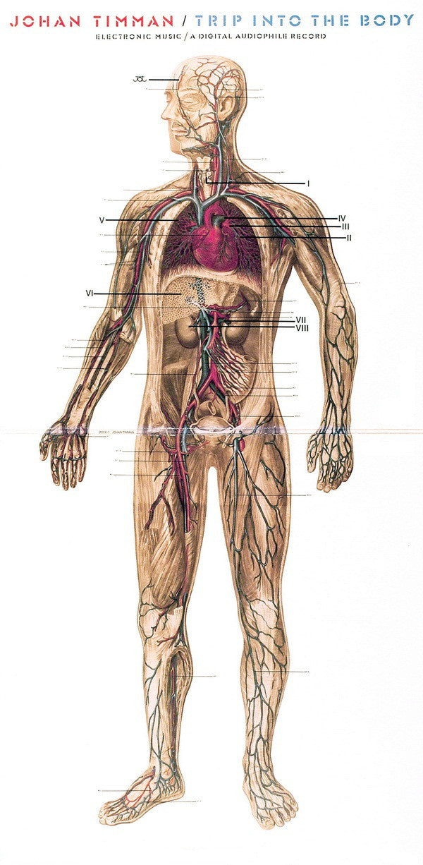 Johan Timman : Trip Into The Body (LP,Album)