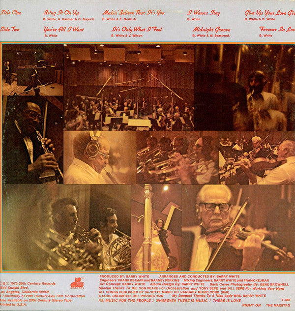 Love Unlimited Orchestra : Music Maestro Please (LP,Album,Stereo)