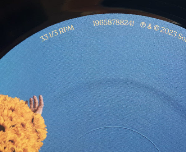 Pommelien Thijs : Per Ongeluk (LP,Album)