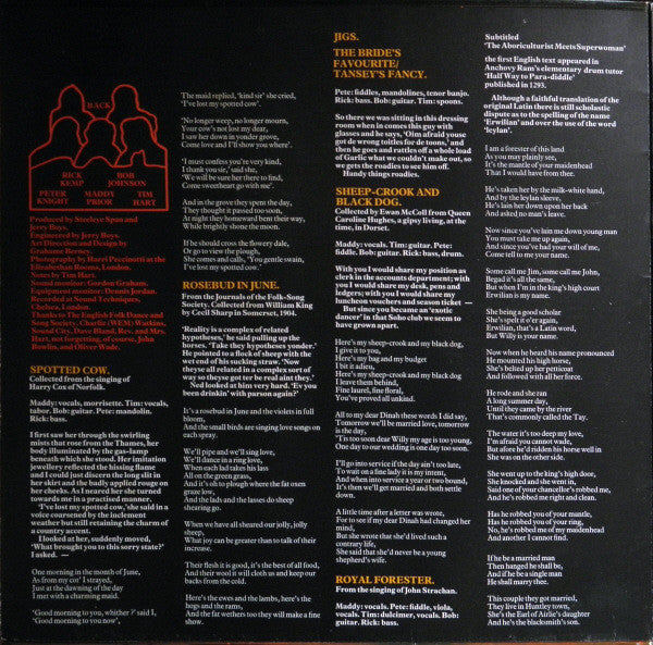 Steeleye Span : Below The Salt (LP,Album)