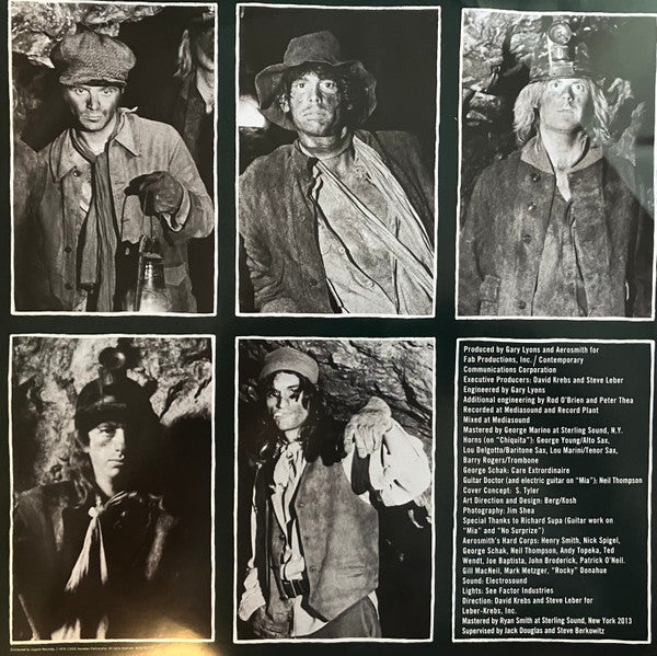 Aerosmith : Night In The Ruts (LP,Album,Reissue,Remastered,Repress)