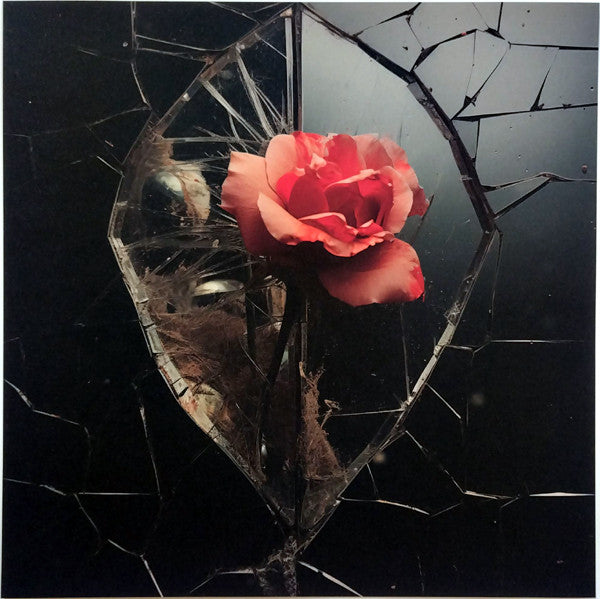 Ilse DeLange : Tainted (LP,Album)