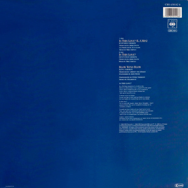 Alison Moyet : Is This Love? (12",45 RPM,Maxi-Single,Stereo)