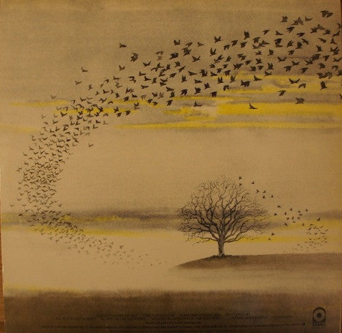 Genesis : Wind & Wuthering (LP, Album, Don)