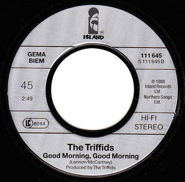 Triffids, The : Holy Water (7",45 RPM,Single)
