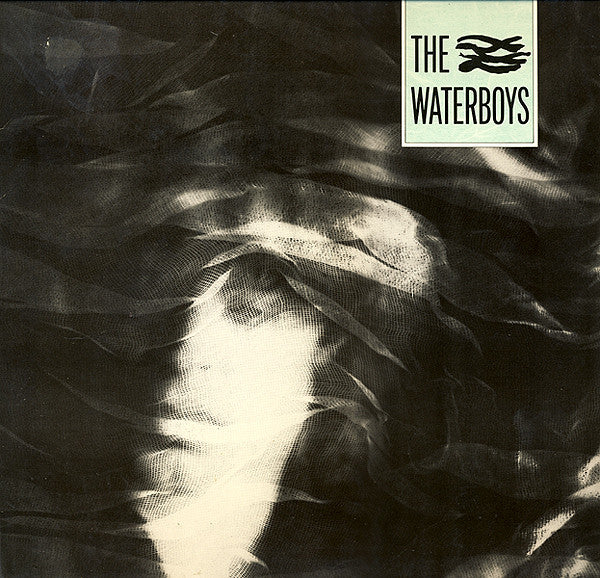 The Waterboys : The Waterboys (LP, Album)