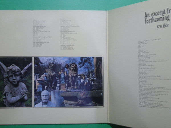 Fairport Convention : Angel Delight (LP,Album)