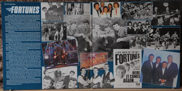 Fortunes, The : All The Hits And More (LP,Album,Compilation)