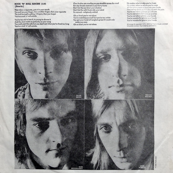 David Bowie : The Rise And Fall Of Ziggy Stardust And The Spiders From Mars (LP,Album)