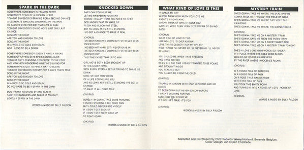 Billy Falcon : Haunted Guitar (Album)