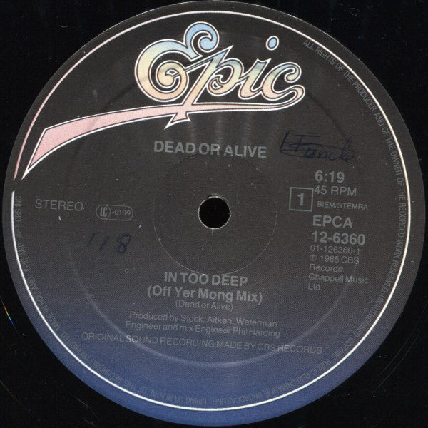 Dead Or Alive : In Too Deep (Off Yer Mong Mix) (12",45 RPM,Maxi-Single)