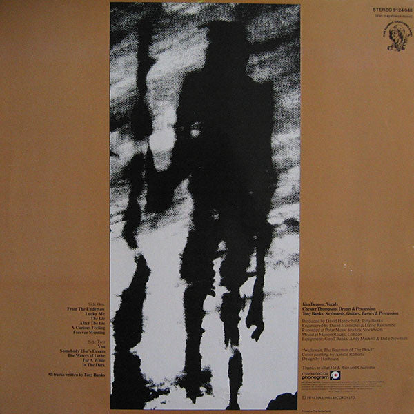 Tony Banks : A Curious Feeling (LP,Album)