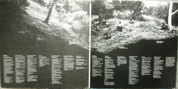 Earthquire : Earthquire (LP,Album)