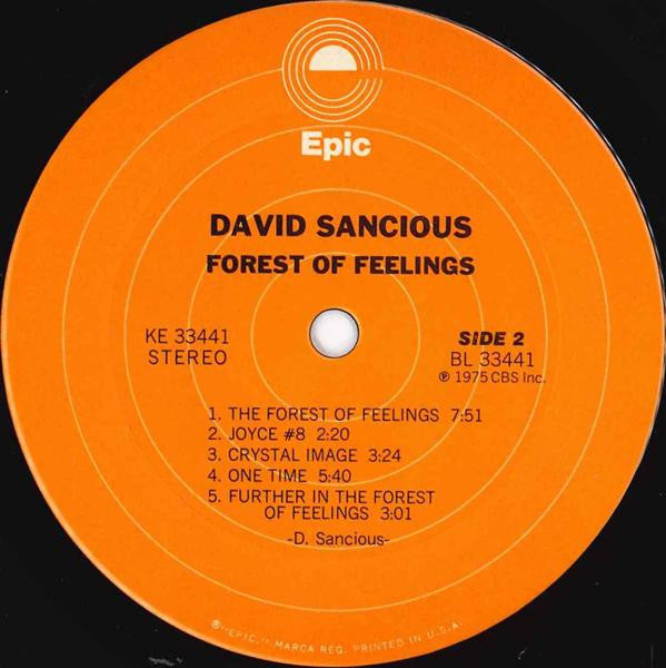 David Sancious : Forest Of Feelings (LP,Album)