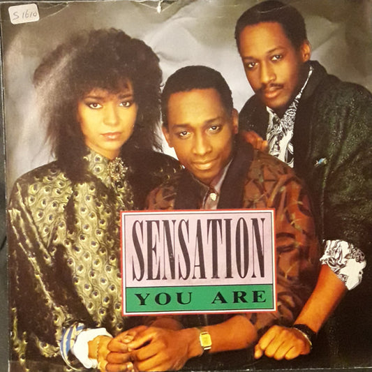 Sensation (4) : You Are (7",45 RPM,Single)