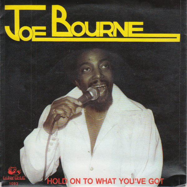 Joe Bourne : Hold On To What You've Got (7",45 RPM,Single,Stereo)