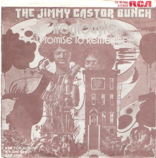 Jimmy Castor Bunch, The : Troglodyte (Cave Man) (7",45 RPM,Single,Stereo)