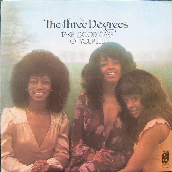 Three Degrees, The : Take Good Care Of Yourself (LP,Stereo)
