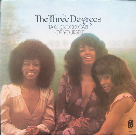 Three Degrees, The : Take Good Care Of Yourself (LP,Stereo)