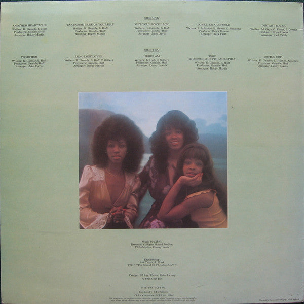 Three Degrees, The : Take Good Care Of Yourself (LP,Stereo)