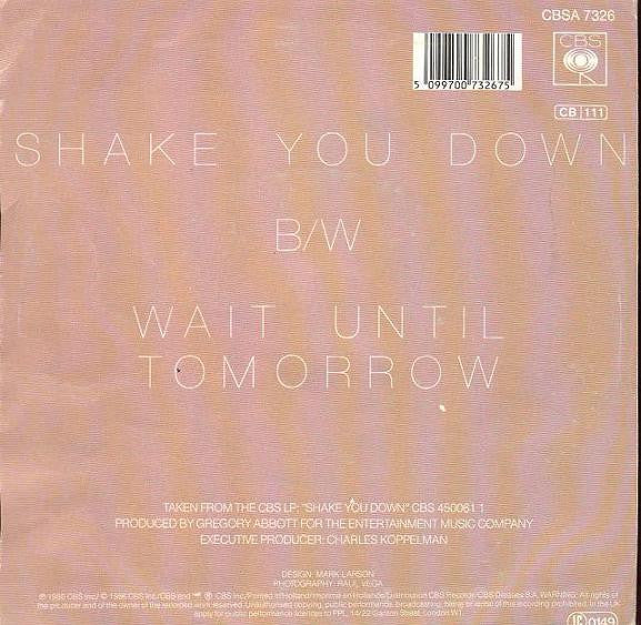 Gregory Abbott : Shake You Down (7",45 RPM,Single)