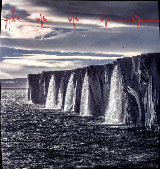 Pearl Jam : Gigaton (LP)
