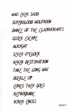 Pearl Jam : Gigaton (LP)