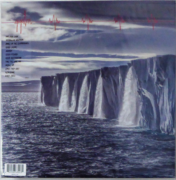 Pearl Jam : Gigaton (LP,Album,Stereo)