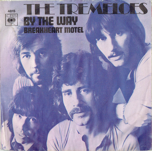 Tremeloes, The : By The Way (7",45 RPM,Single)