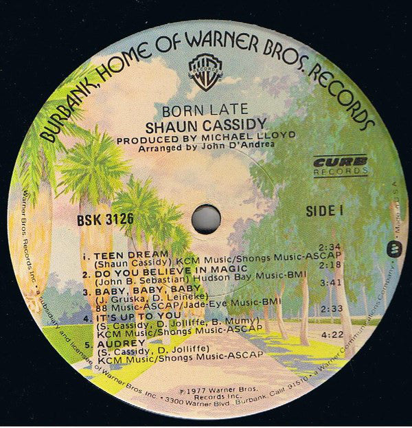 Shaun Cassidy : Born Late (LP,Album)