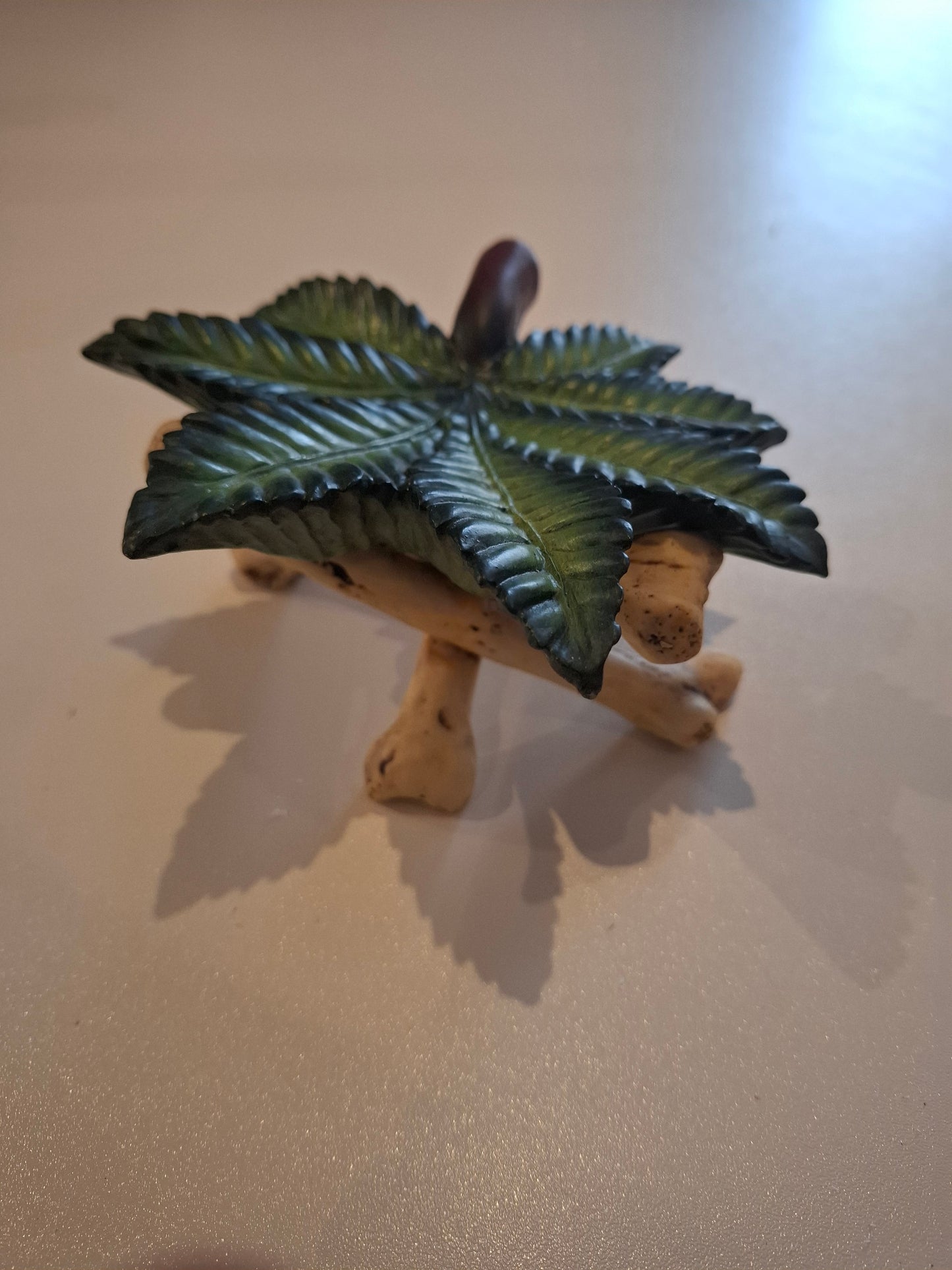 Rastafari set (reggae)