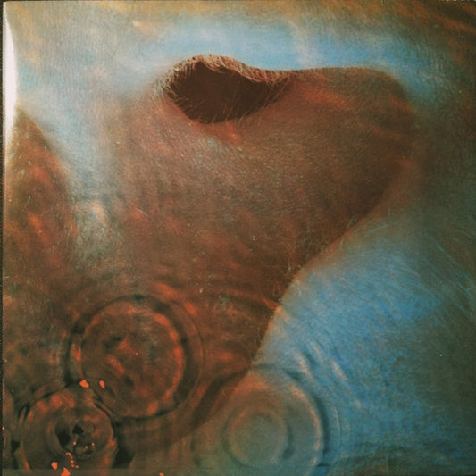 Pink Floyd : Meddle (LP,Album)