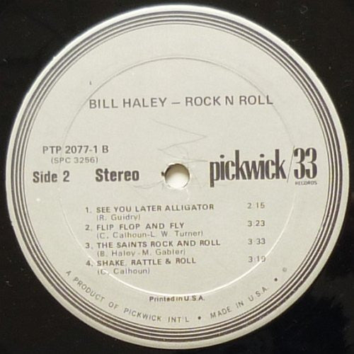 Bill Haley : Rock N Roll (LP)