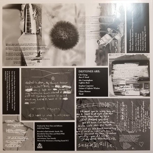 Deftones : Adrenaline (LP,Album,Repress)