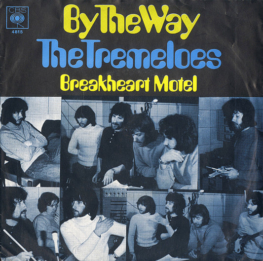 Tremeloes, The : By The Way (7",45 RPM,Single,Mono)