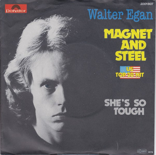 Walter Egan : Magnet And Steel (7",Single,45 RPM)