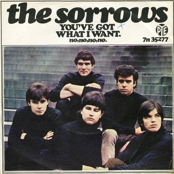 Sorrows, The : You've Got What I Want (7",45 RPM,Single)