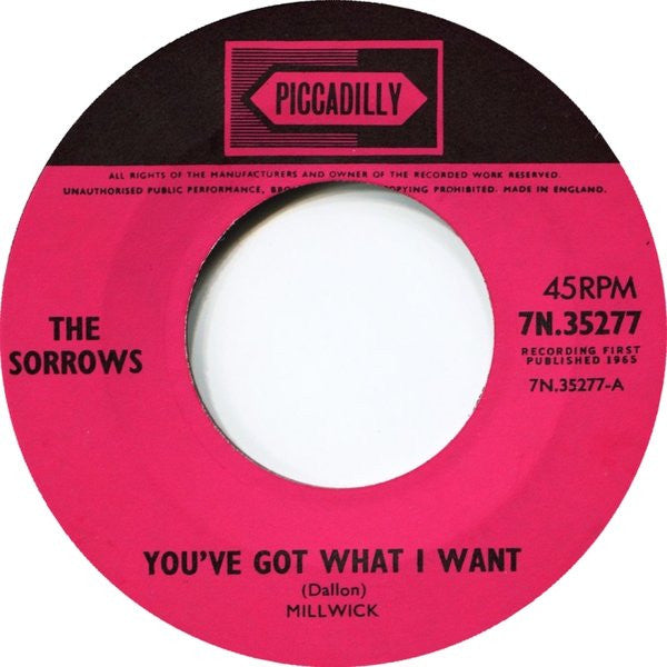 Sorrows, The : You've Got What I Want (7",45 RPM,Single)