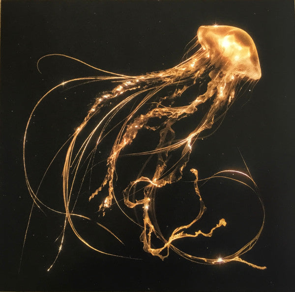 Royal Blood (6) : Back To The Water Below (LP,Album)