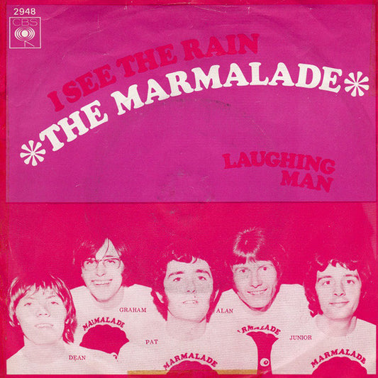 Marmalade, The : I See The Rain (7",45 RPM,Single)