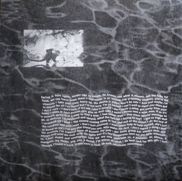 Nirvana : Nevermind (LP,Album,Reissue)