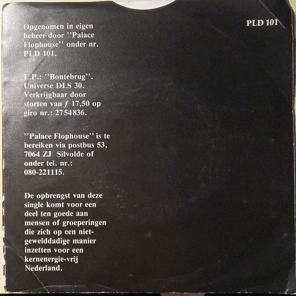 Palace Flophouse : Dodewaard (7",45 RPM,Single)