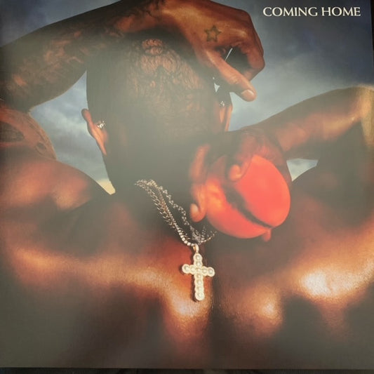Usher : Coming Home (LP,Album)