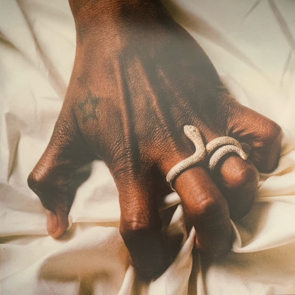 Usher : Coming Home (LP,Album)