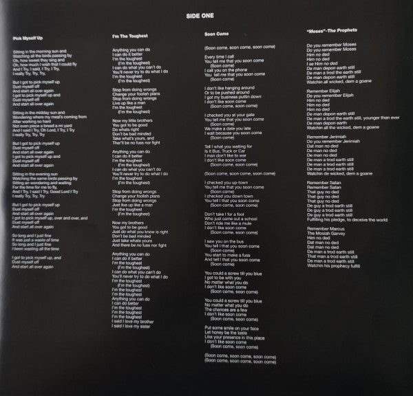 Peter Tosh : Bush Doctor (LP,Album,Limited Edition,Reissue,Stereo)