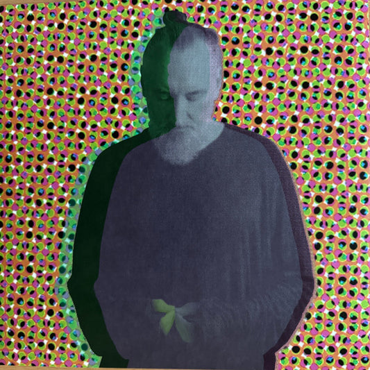 Fink : Beauty In Your Wake (Acoustic) (LP,Album,Stereo)