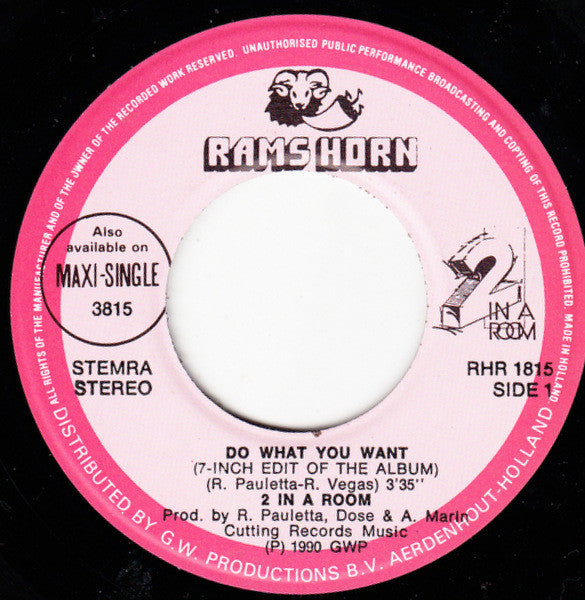 2 In A Room : Do What You Want (7",45 RPM,Single)